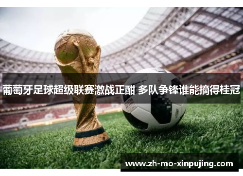 葡萄牙足球超级联赛激战正酣 多队争锋谁能摘得桂冠
